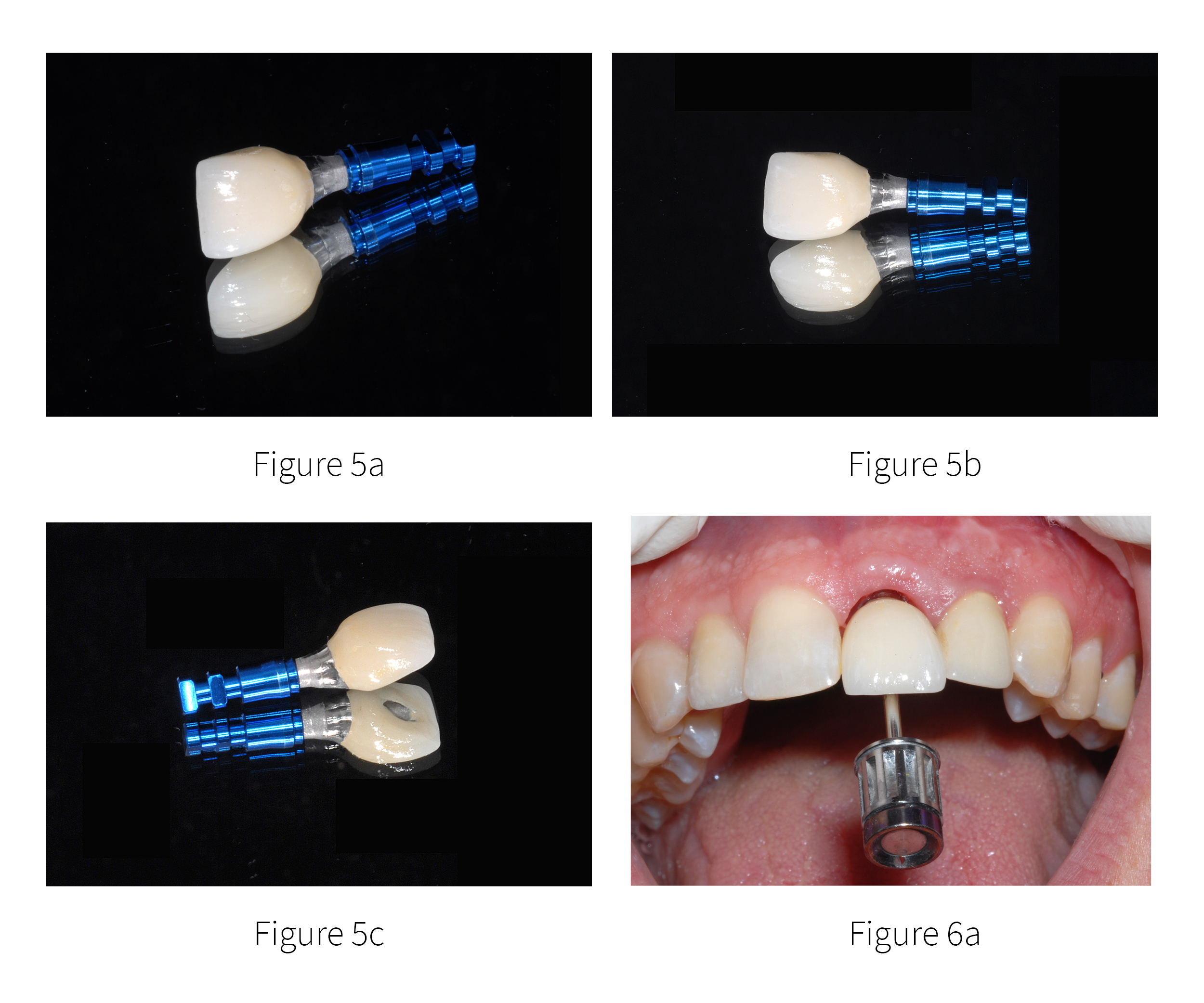 Fig 5abc - 6a